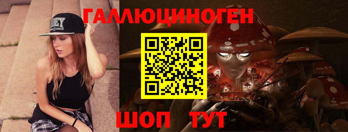 Псилоцибиновые грибы Psilocybine cubensis  Вход с VPN  Сызрань 